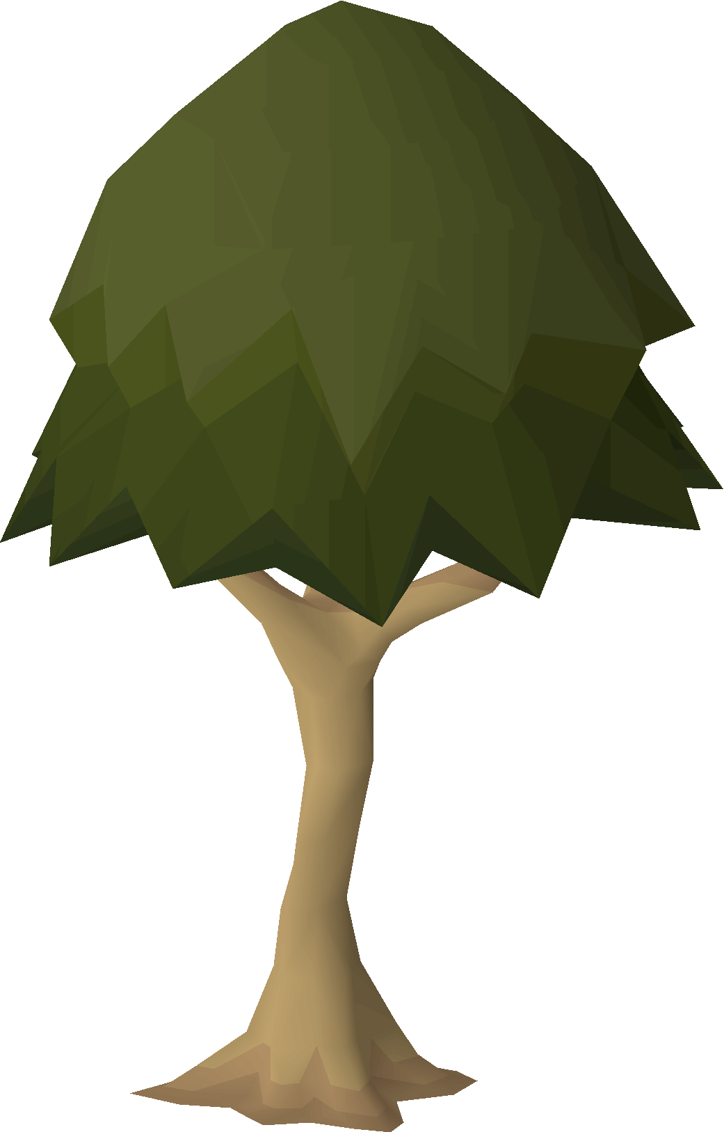 Ironwood tree (diseased, Sailing Load Test)