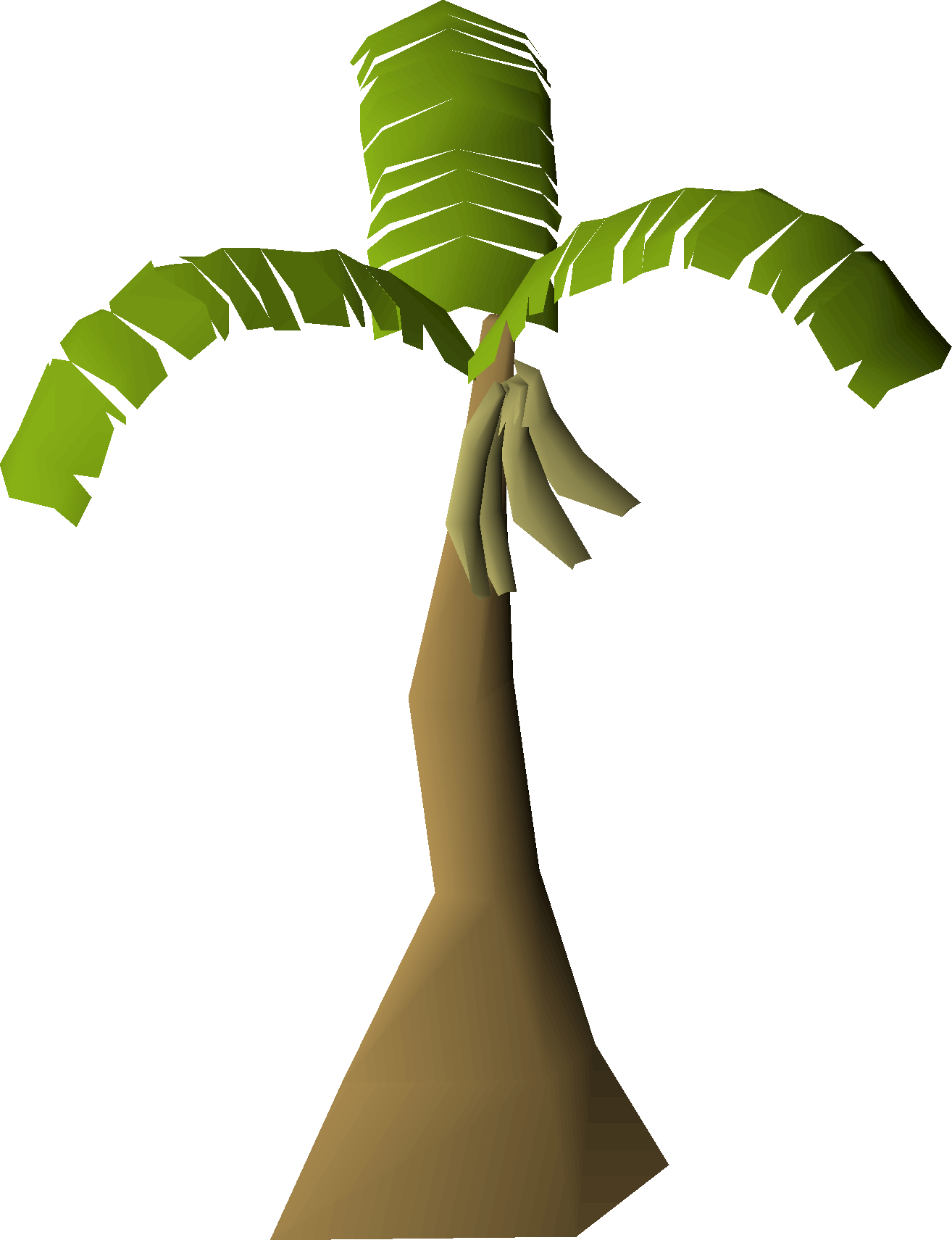 Banana tree (Ape Atoll)