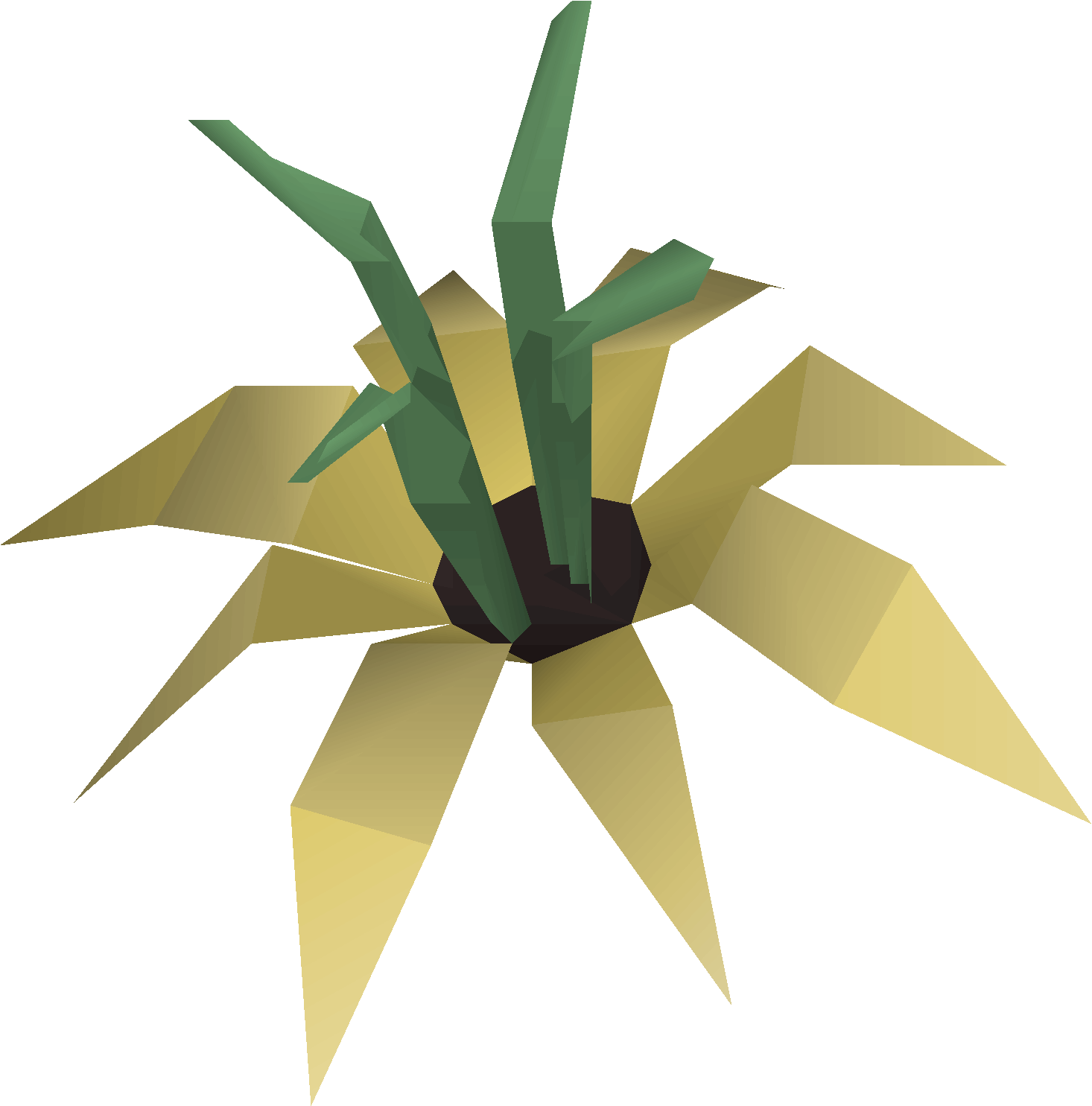 Vine flower