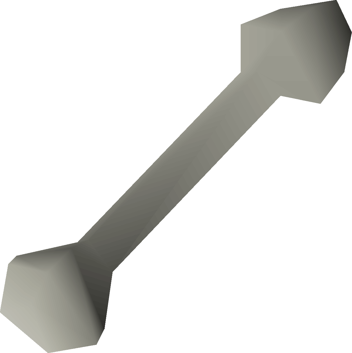 Giant rat bone
