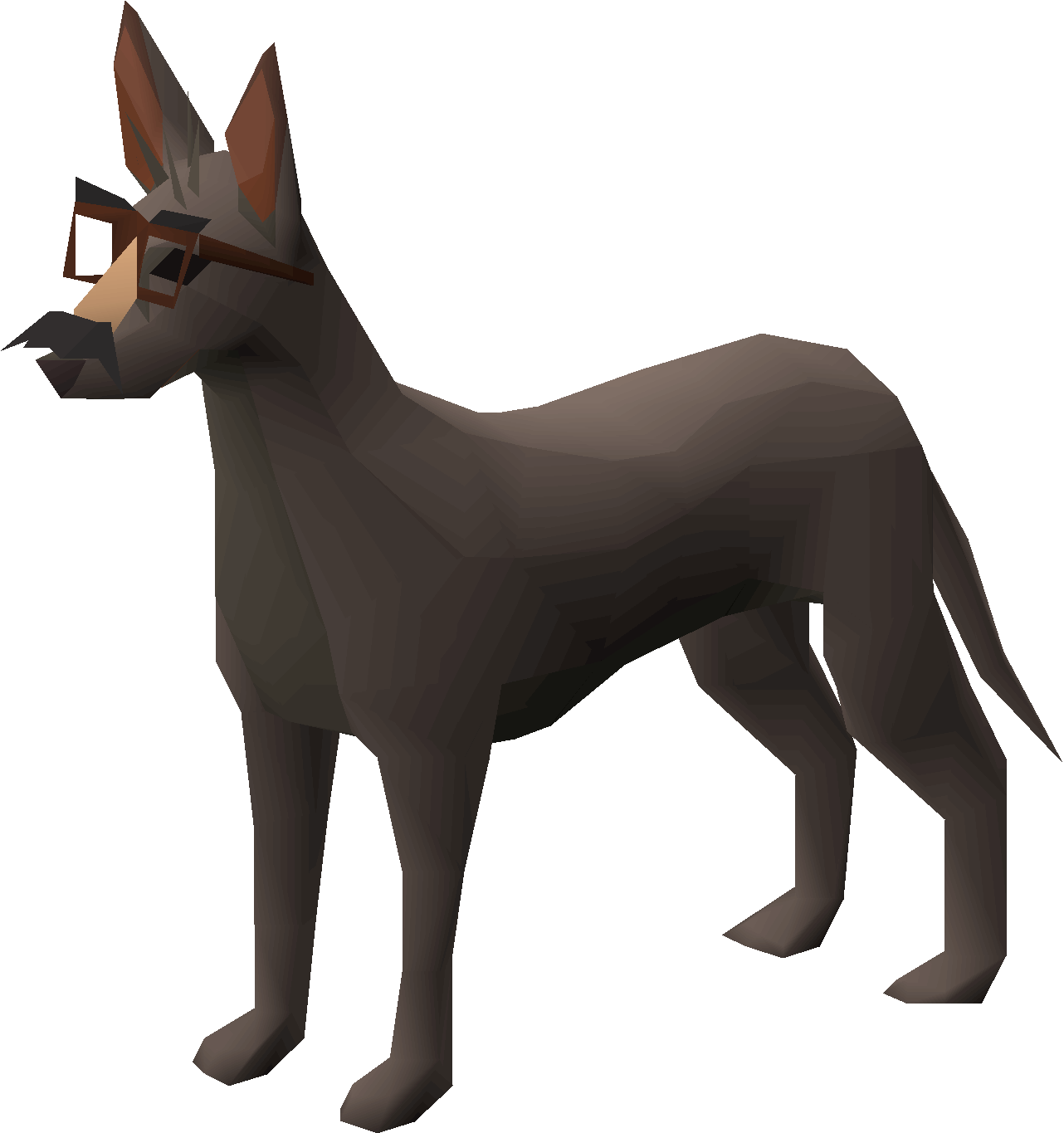 Smart-looking dog