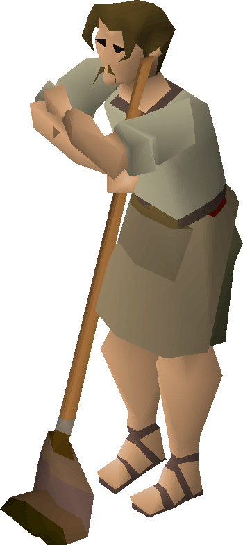 Cleaner