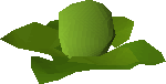 Cabbages (plant)