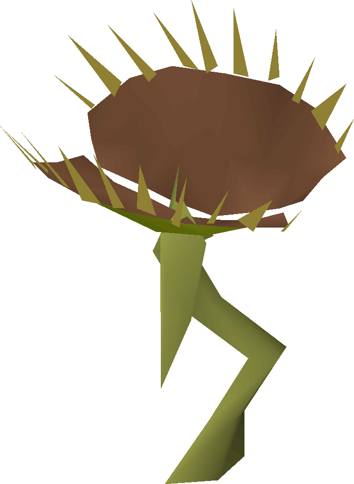 Fly trap