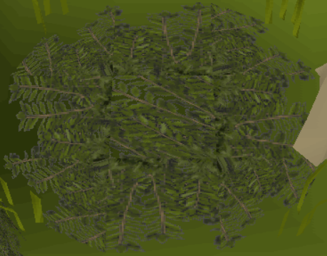 Leaves (trap)