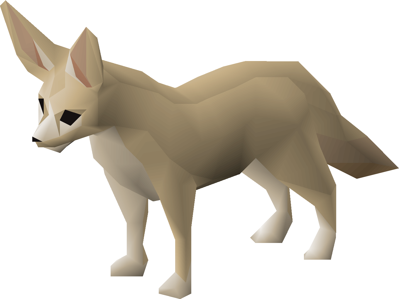 Fennec fox