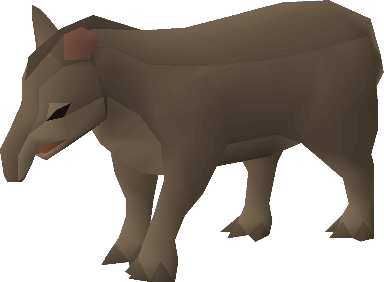 Tapir