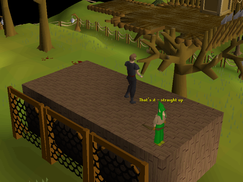 Tree branch (Gnome Stronghold Agility Course)