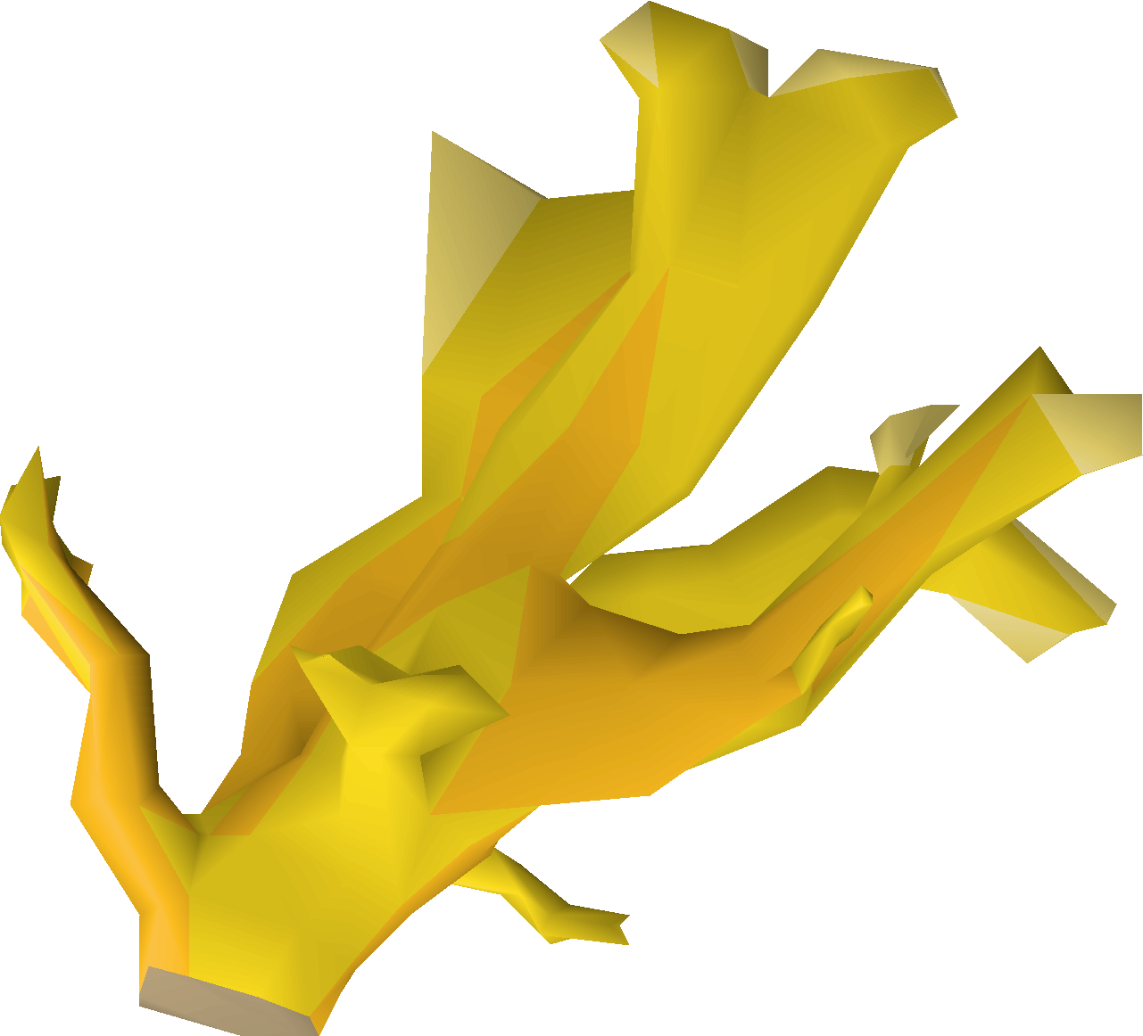 Elkhorn coral