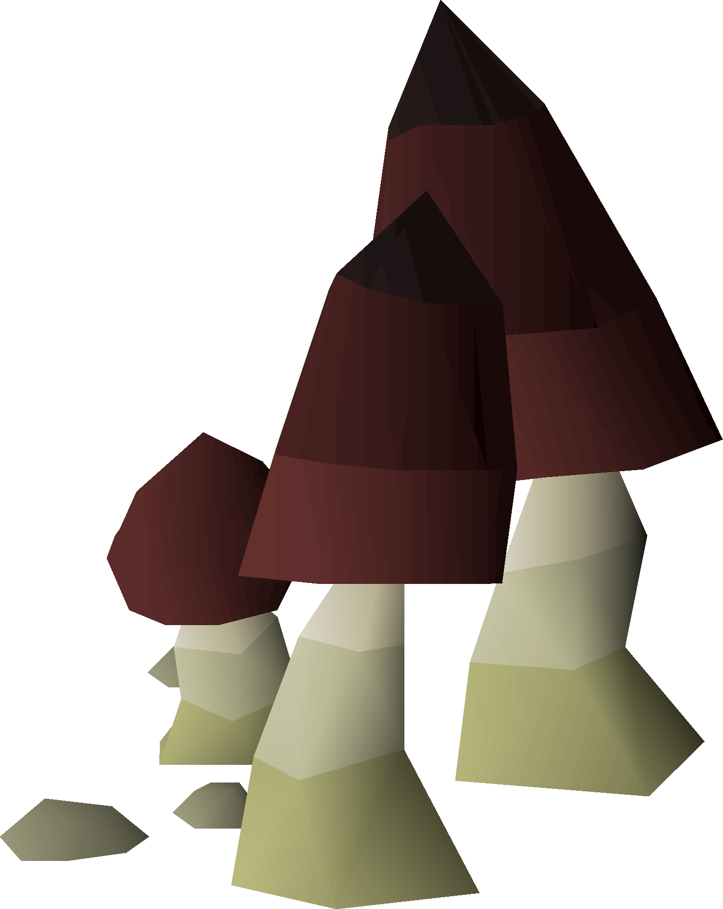 Black mushrooms