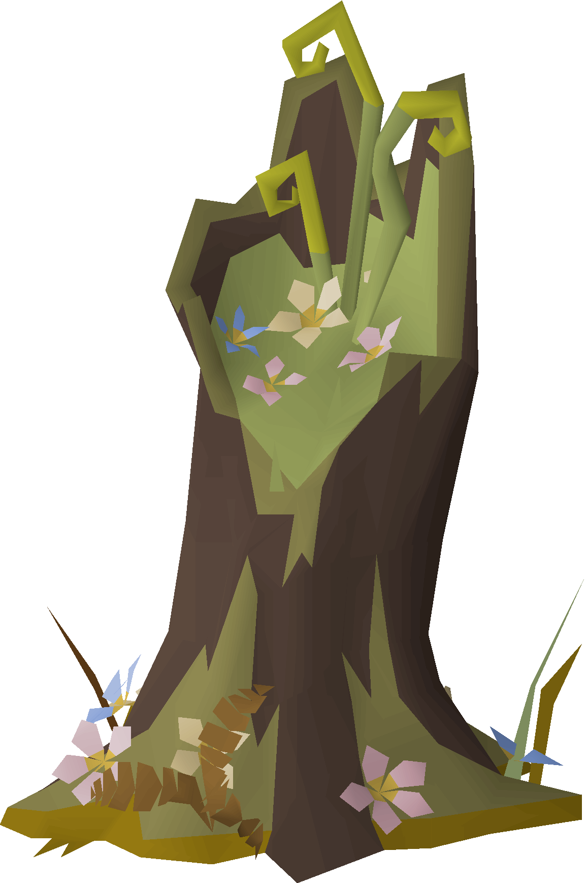 Beautiful tree stump