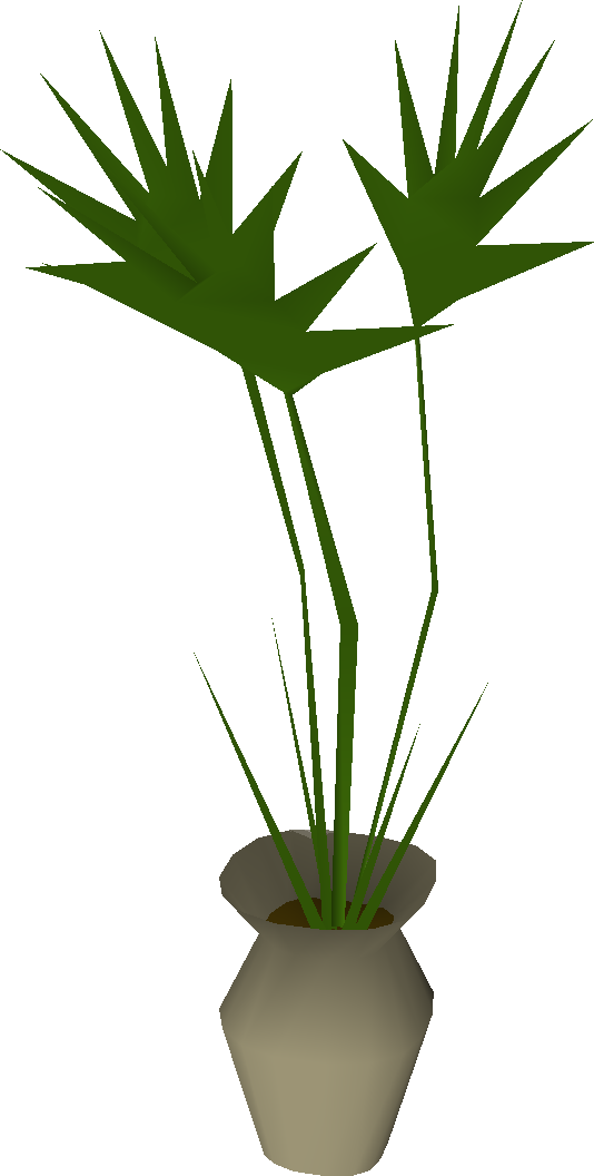 Potted plant