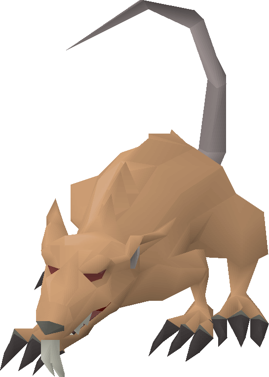 Angry giant rat
