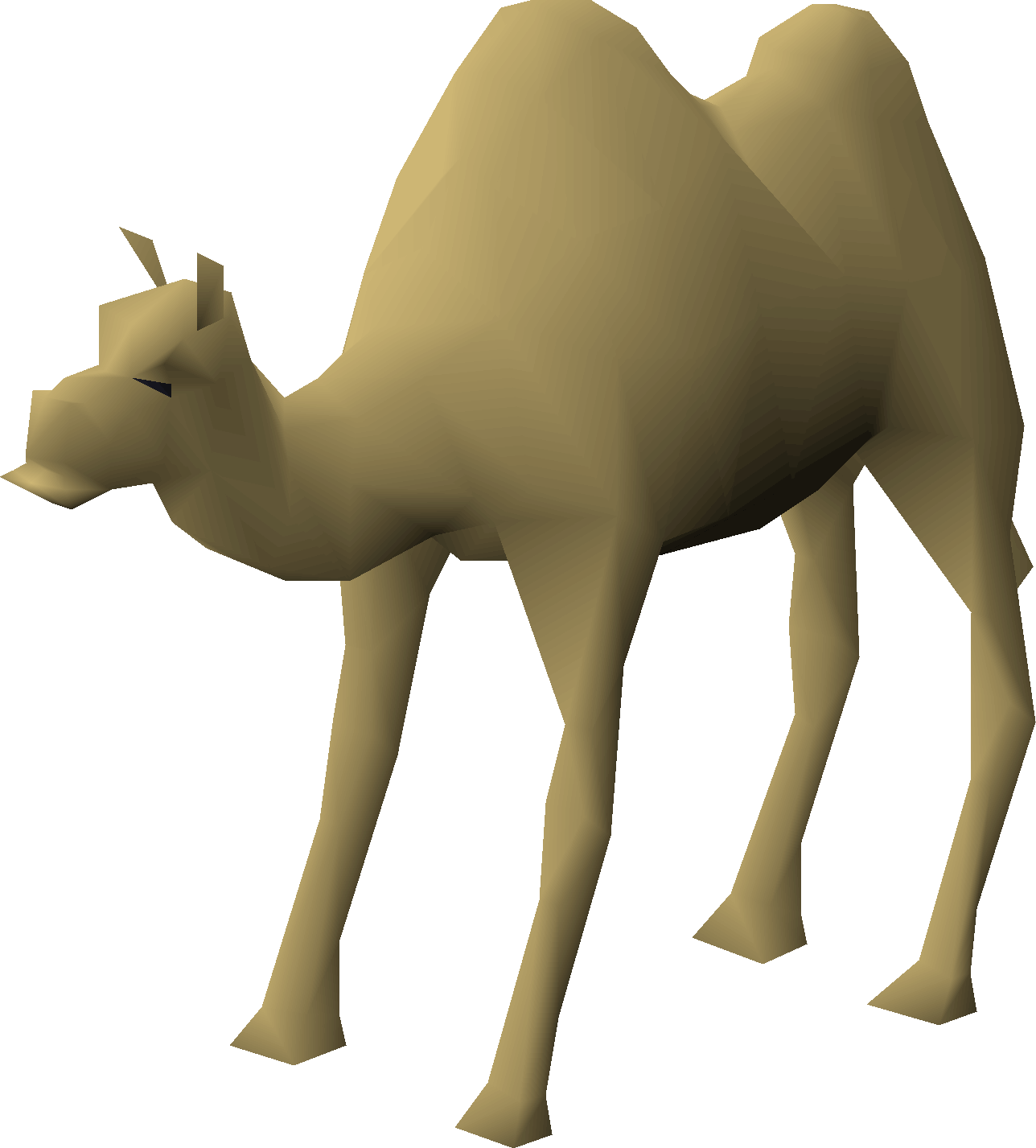 Elly the Camel