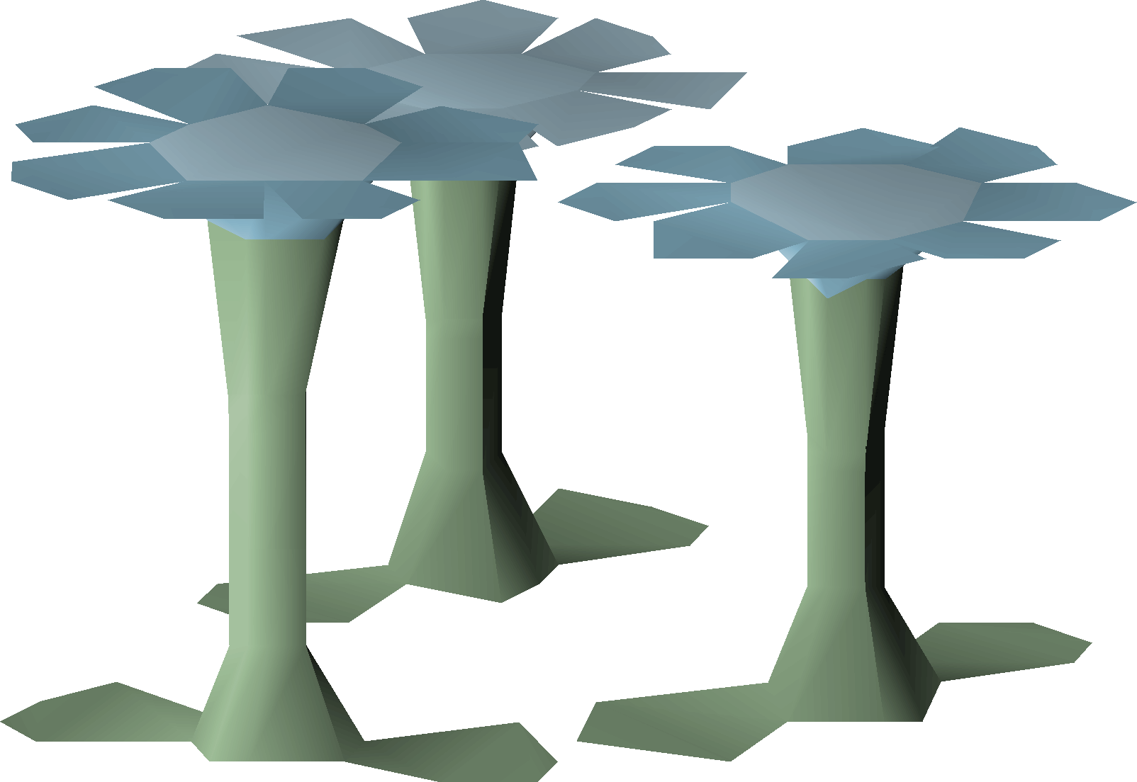 Rare Flowers
