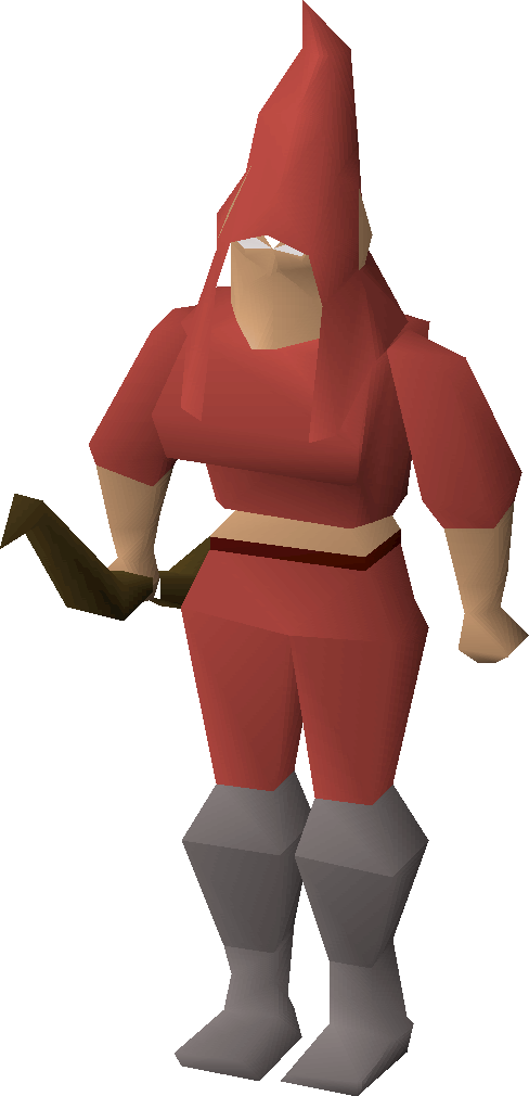 Gnome traveller