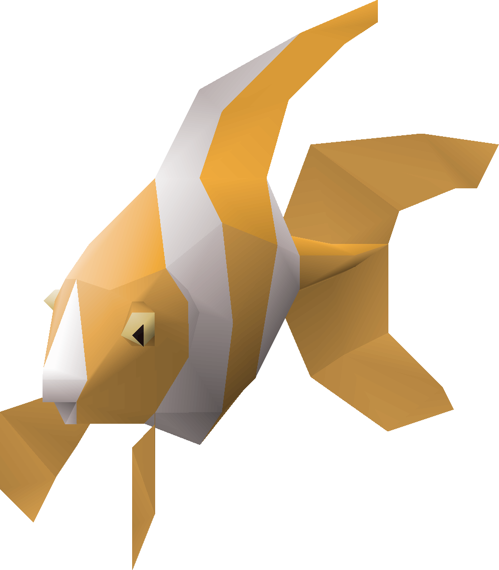 Fish (paradise)