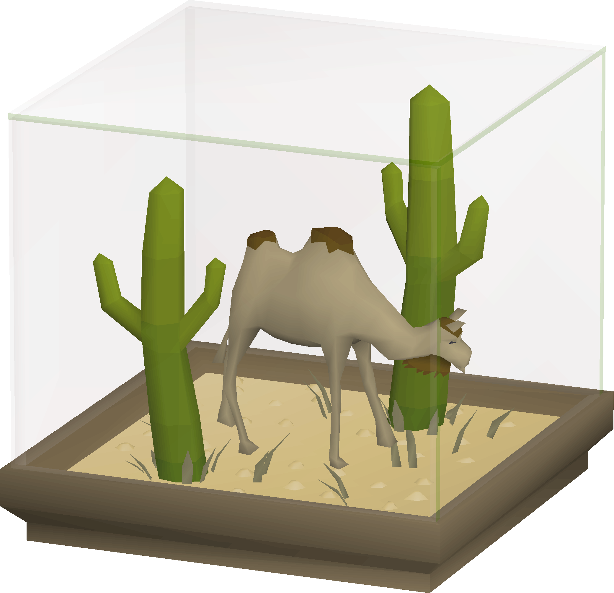 Camel display