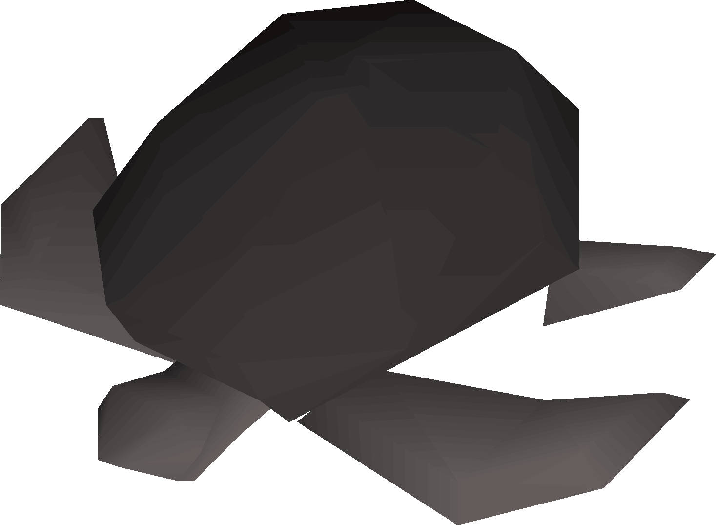 Burnt sea turtle