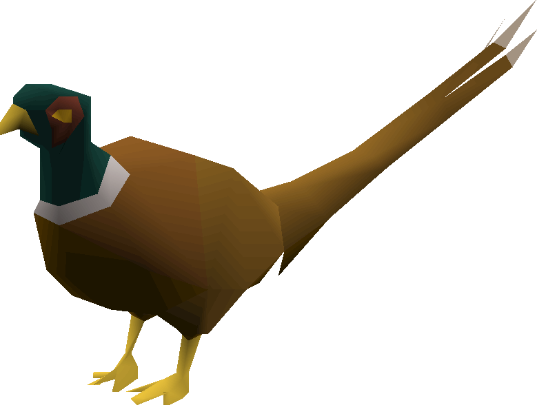 Pheasant