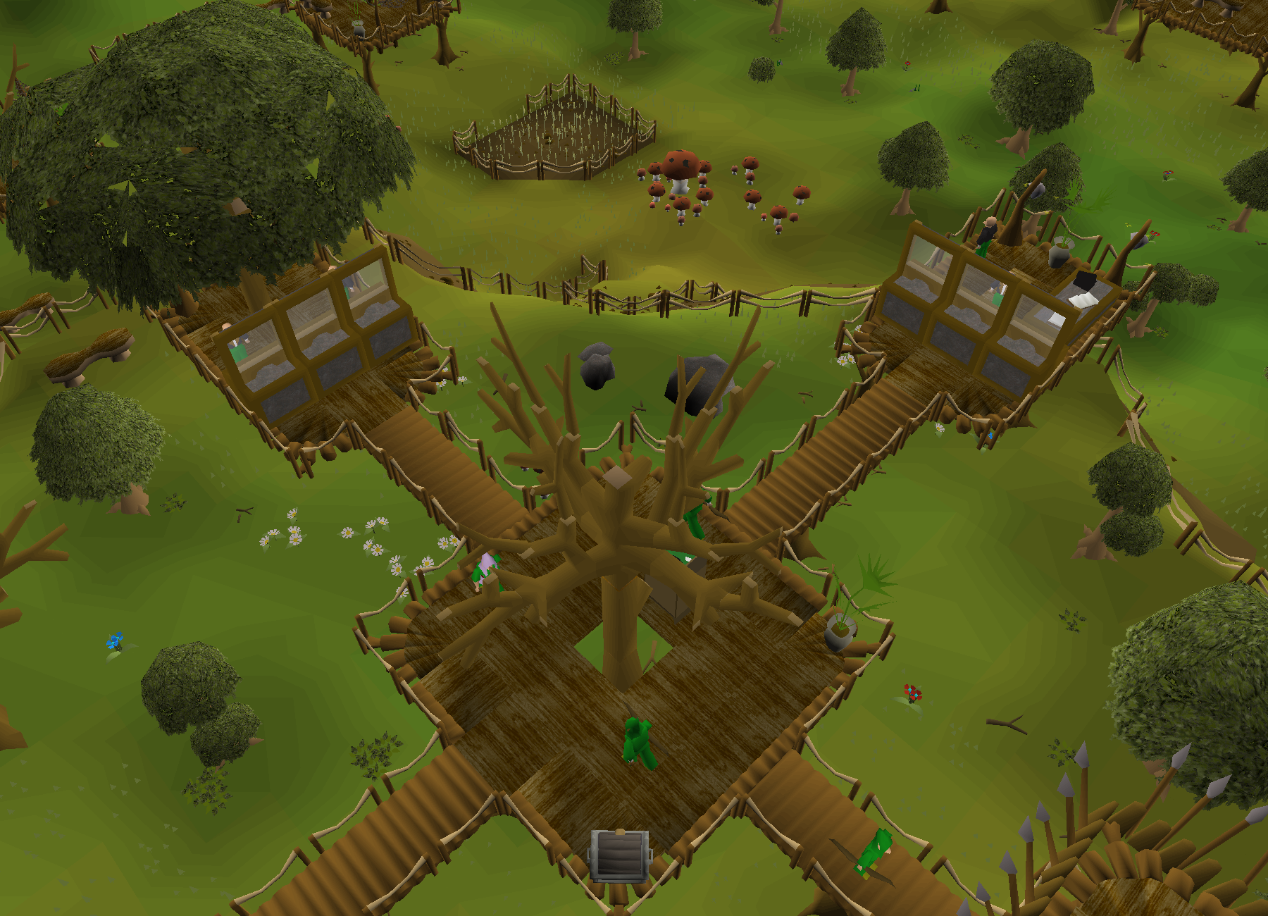 Gnome Stronghold north bank