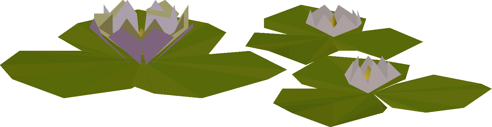 Waterlily