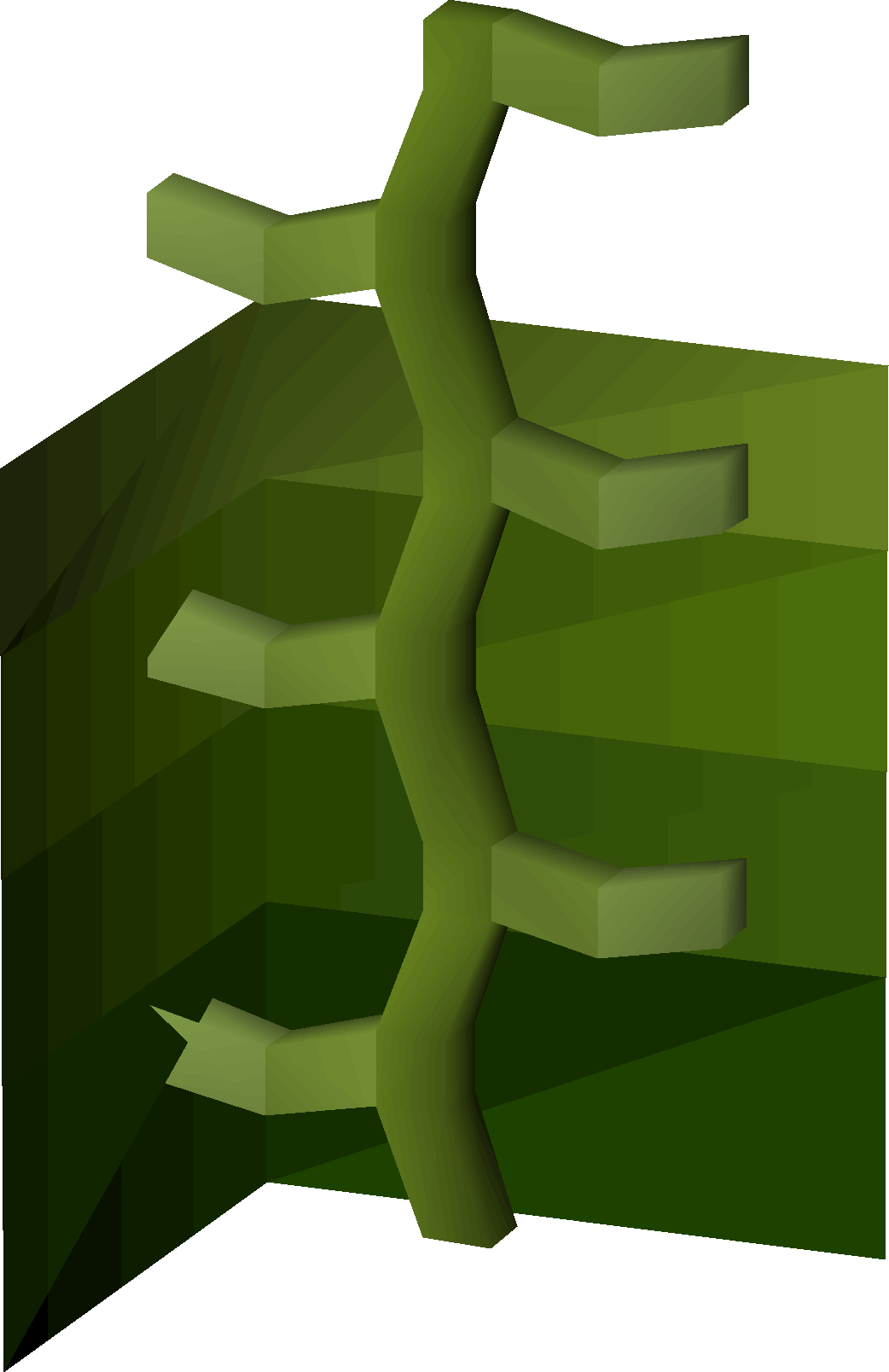 Dripping vine