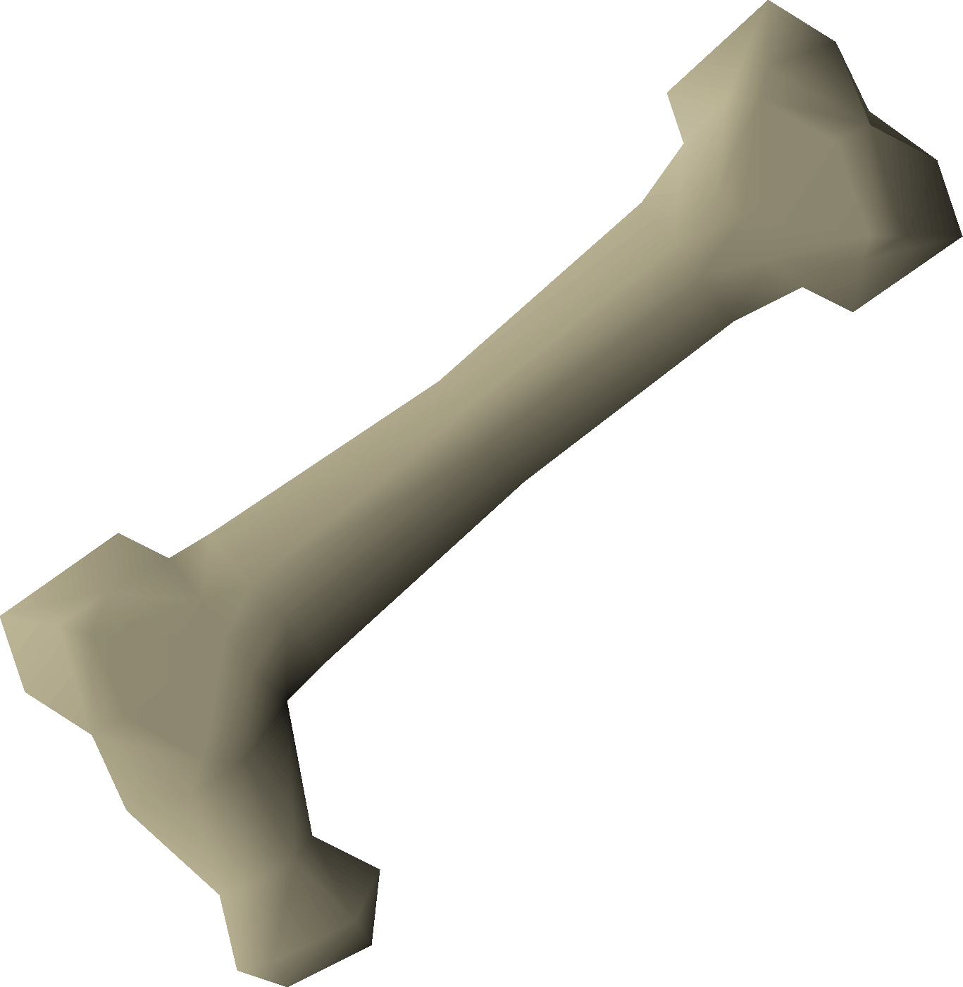 Long bone