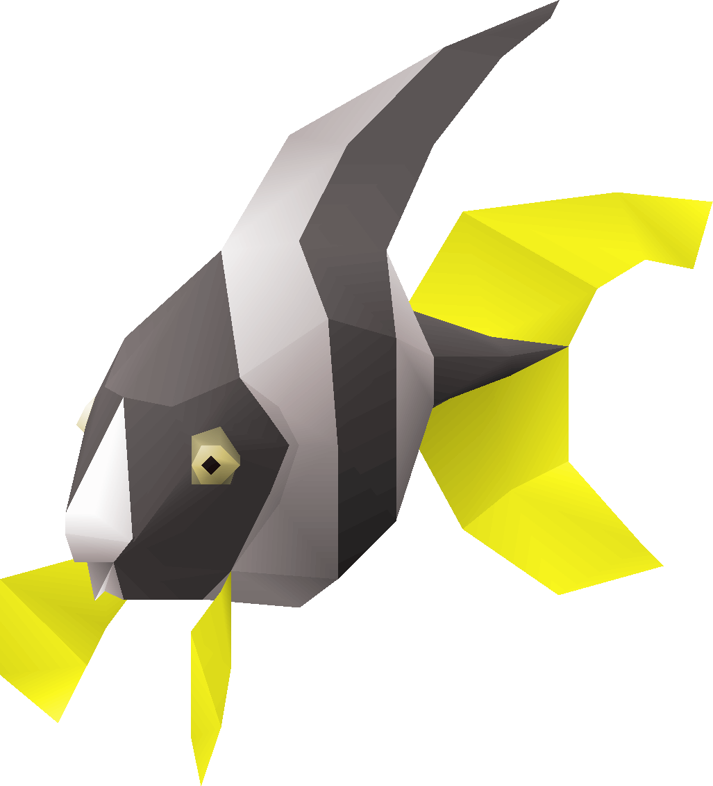 Fish (angel fish)