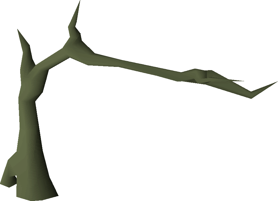 Tall tree