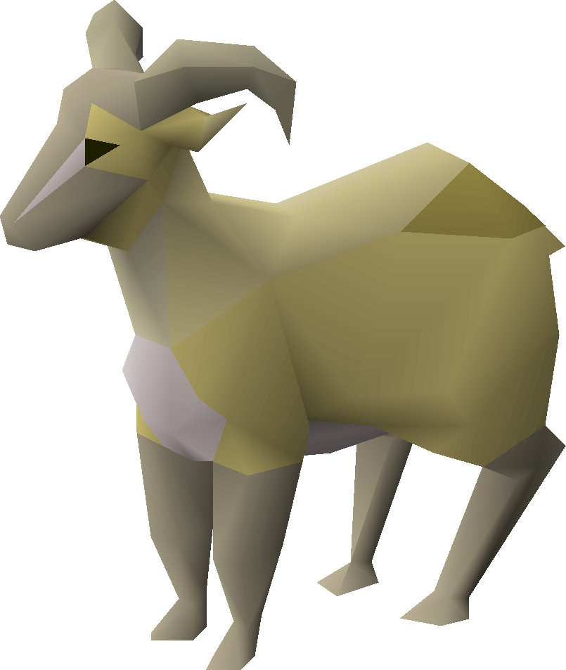 Goat