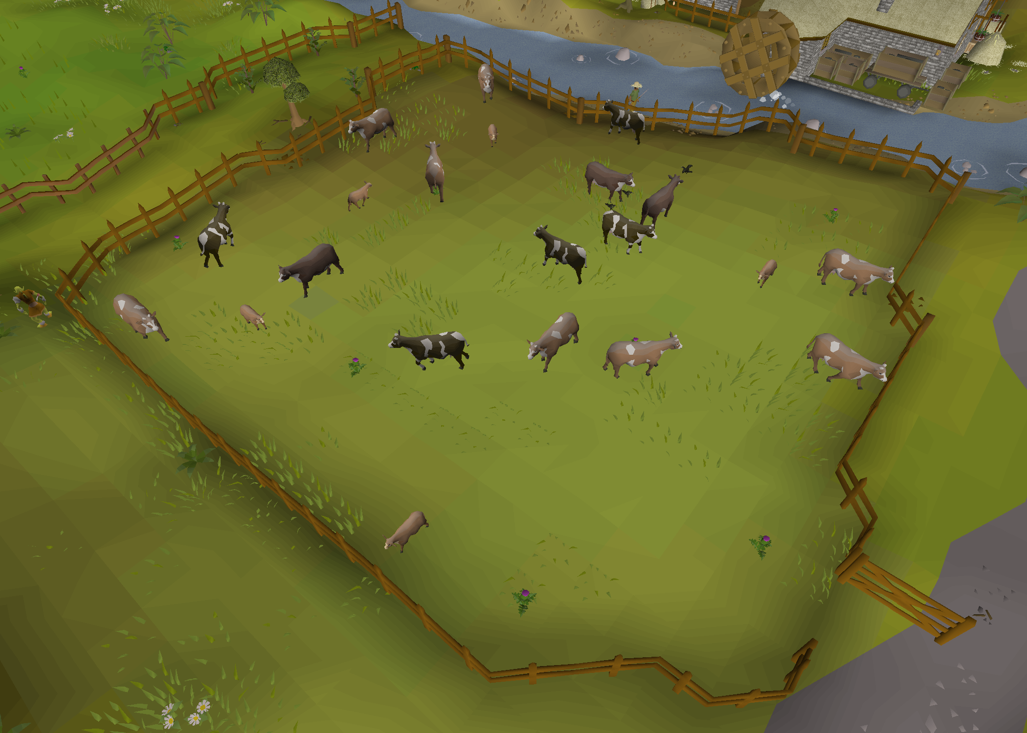 Lumbridge pasture