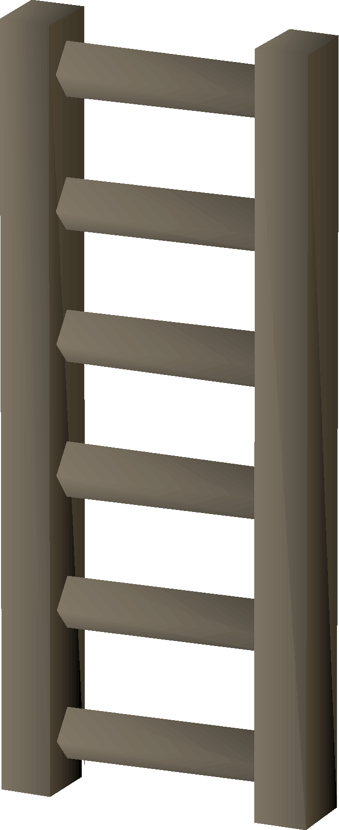 Ladder (Seers' Village)