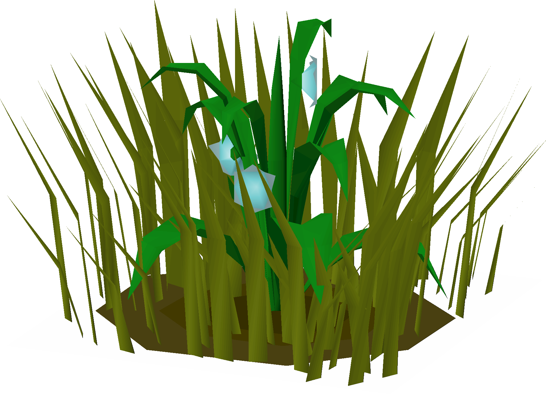 Flax (Miscellania)