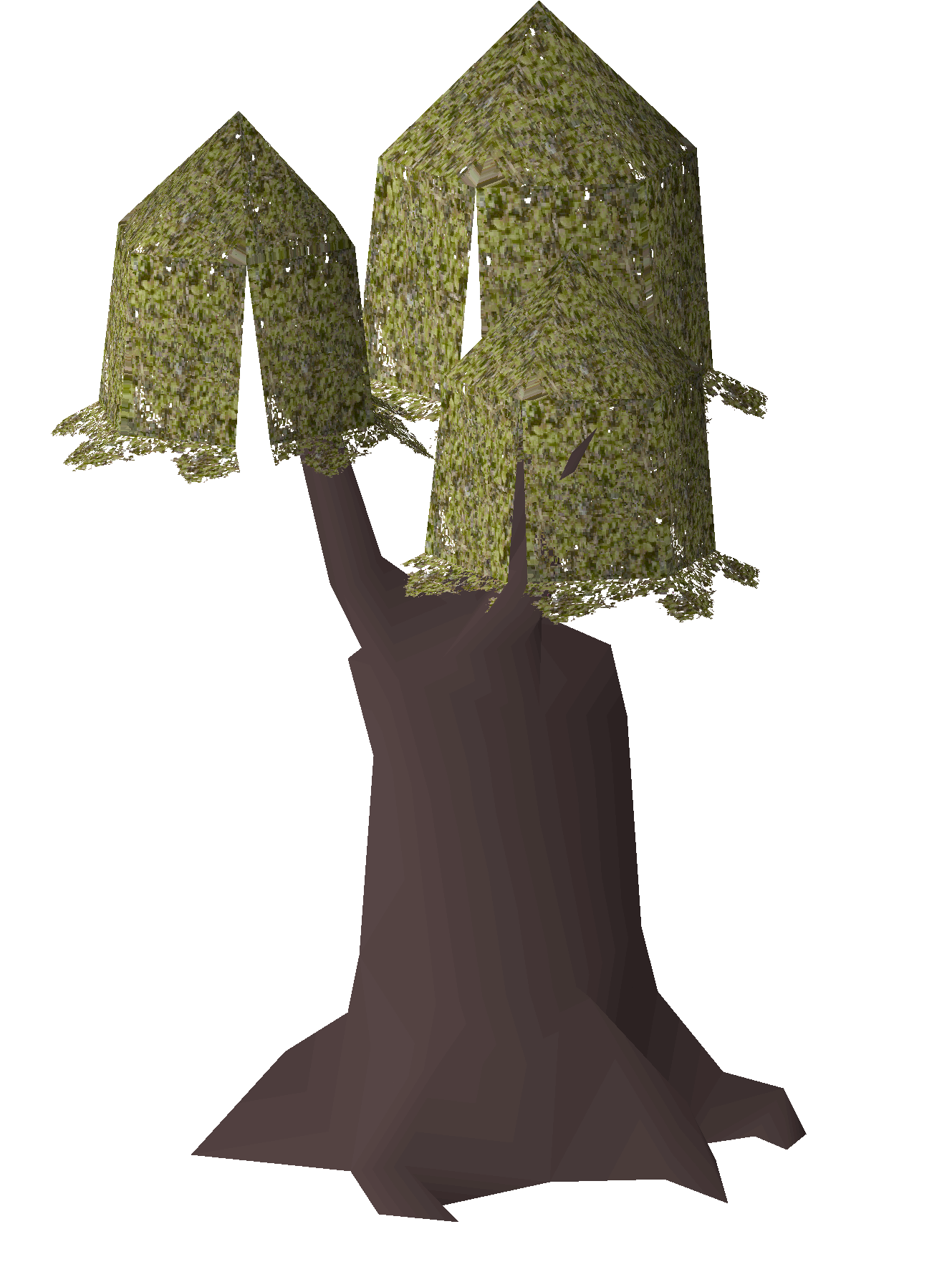 Rosewood tree