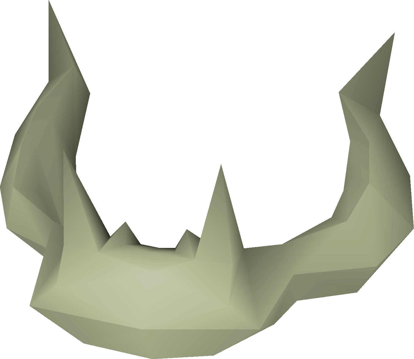 Rare fossilised skull