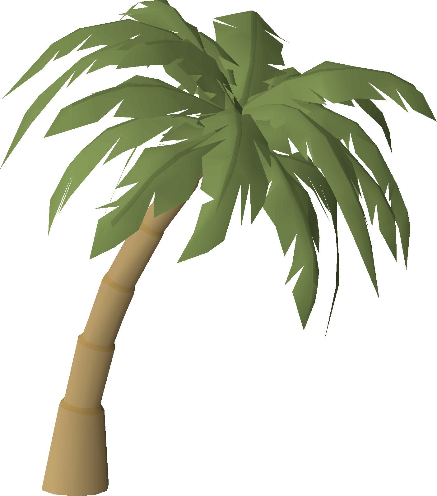Palm (Troubled Tortugans)