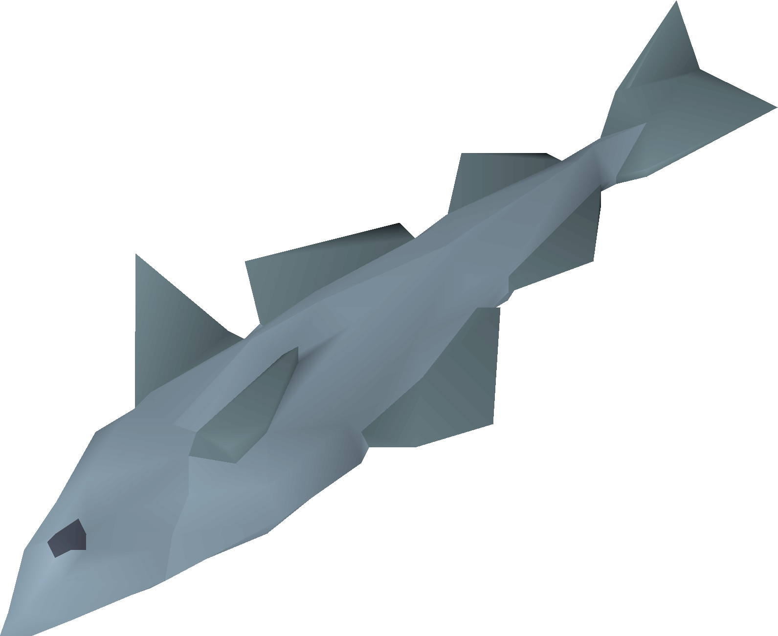 Raw haddock