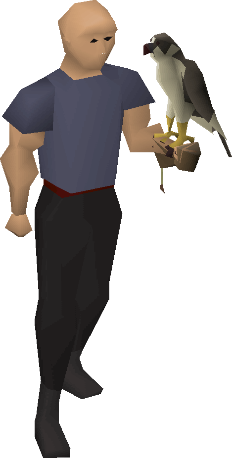 Falconry