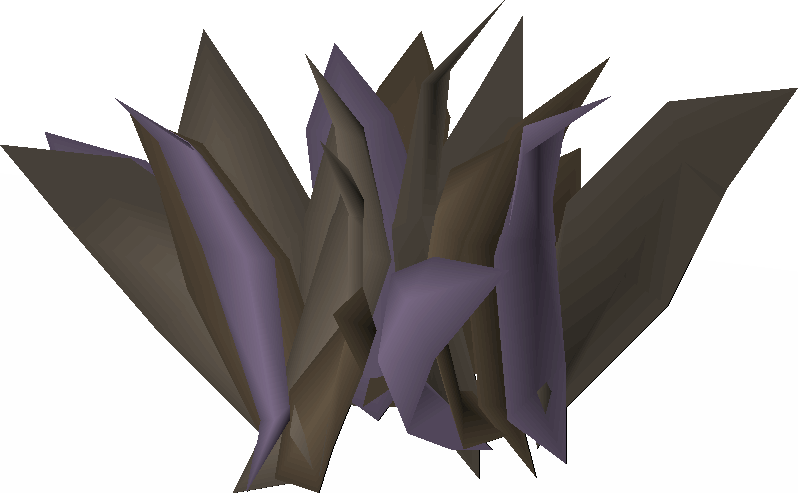 Dead coral (Sailing Beta)