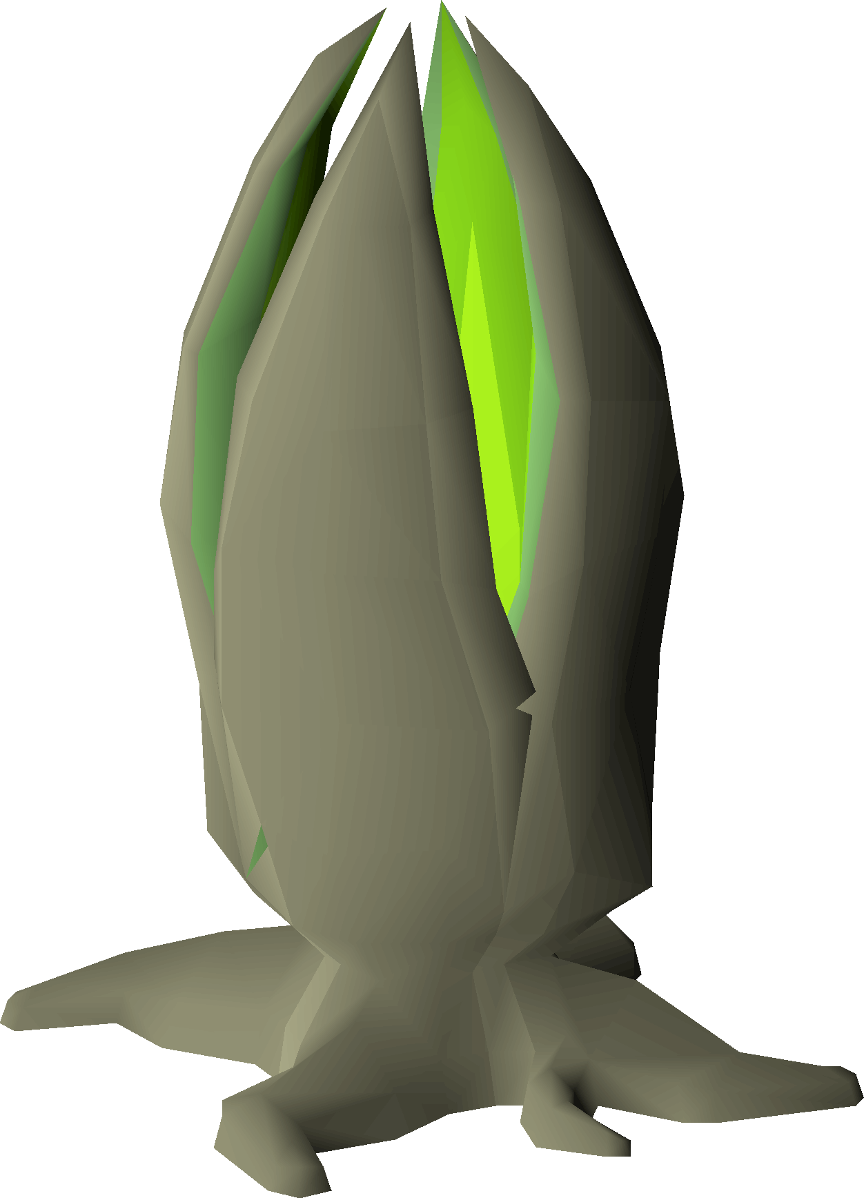 Shrivelled plant