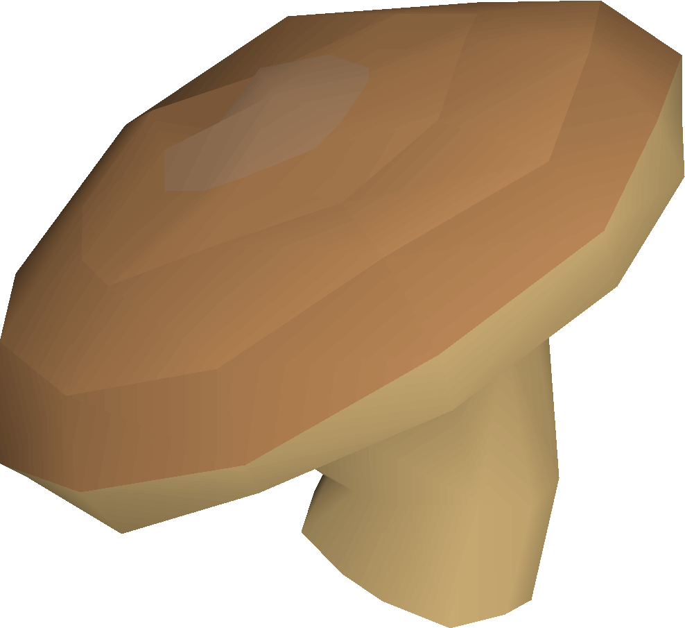 Musca mushroom