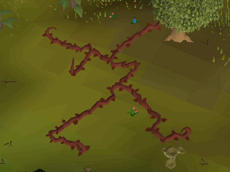 Vine (McGrubor's Wood)