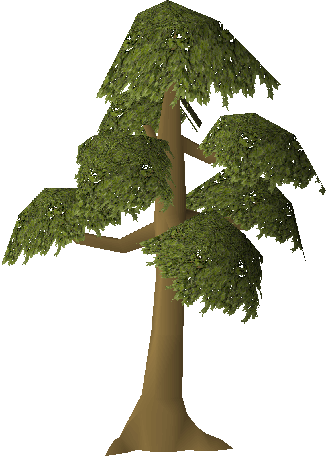 Yew tree