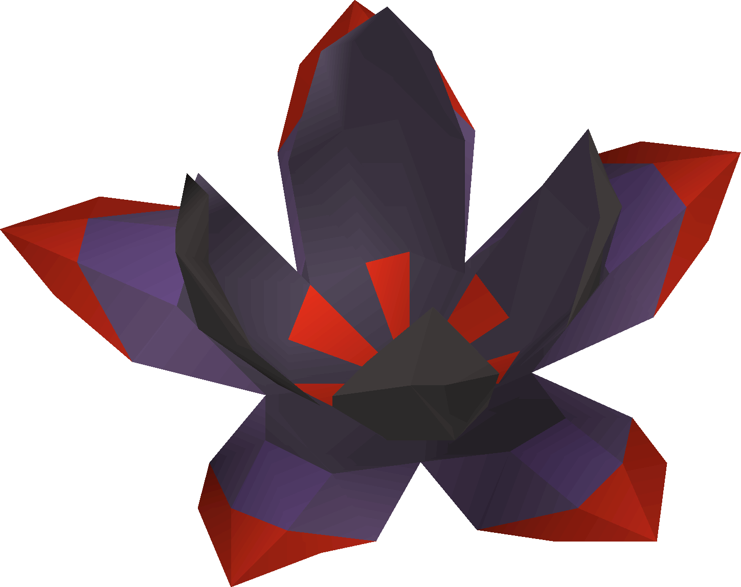 Buchu leaf