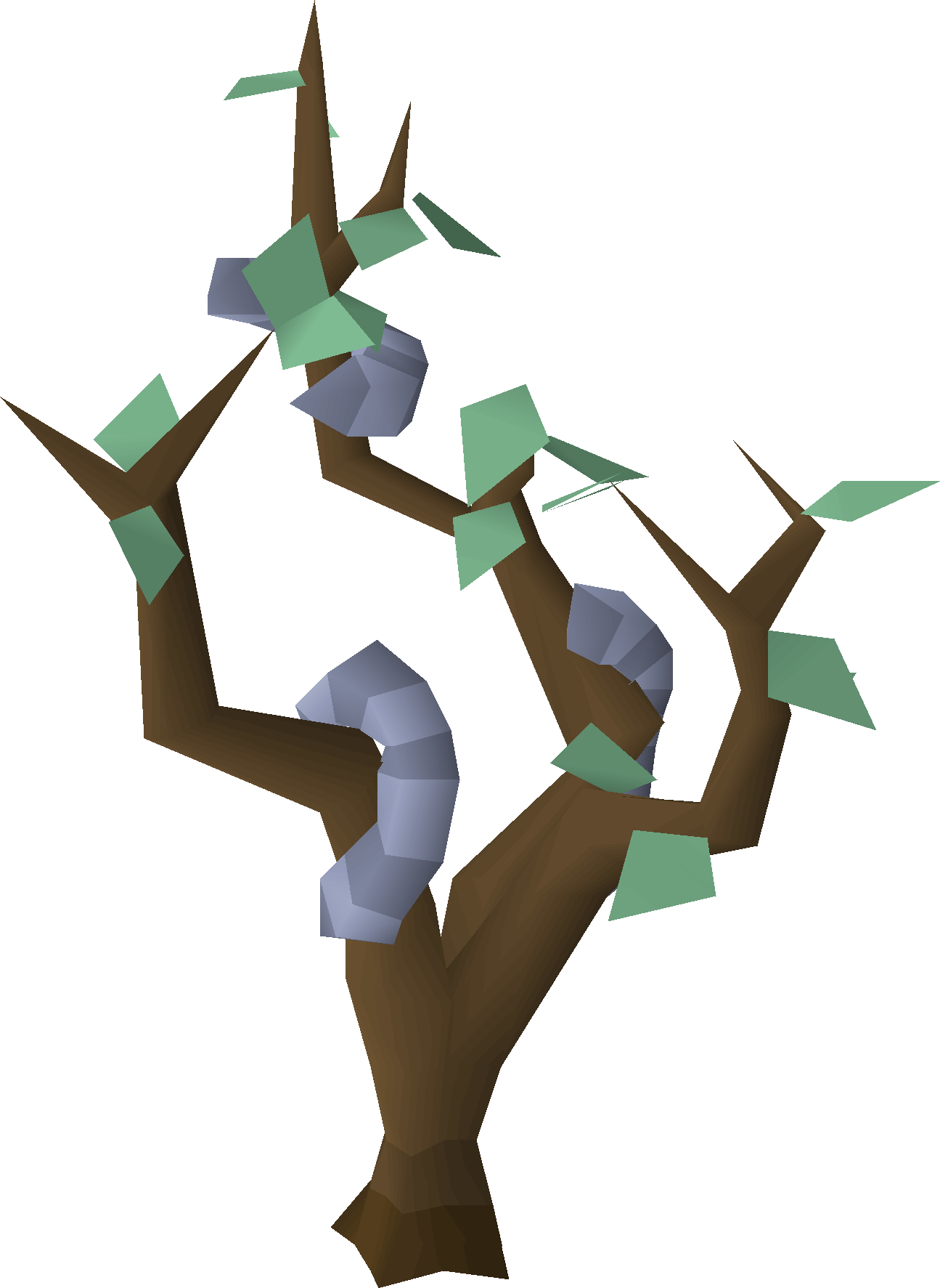Grubby sapling