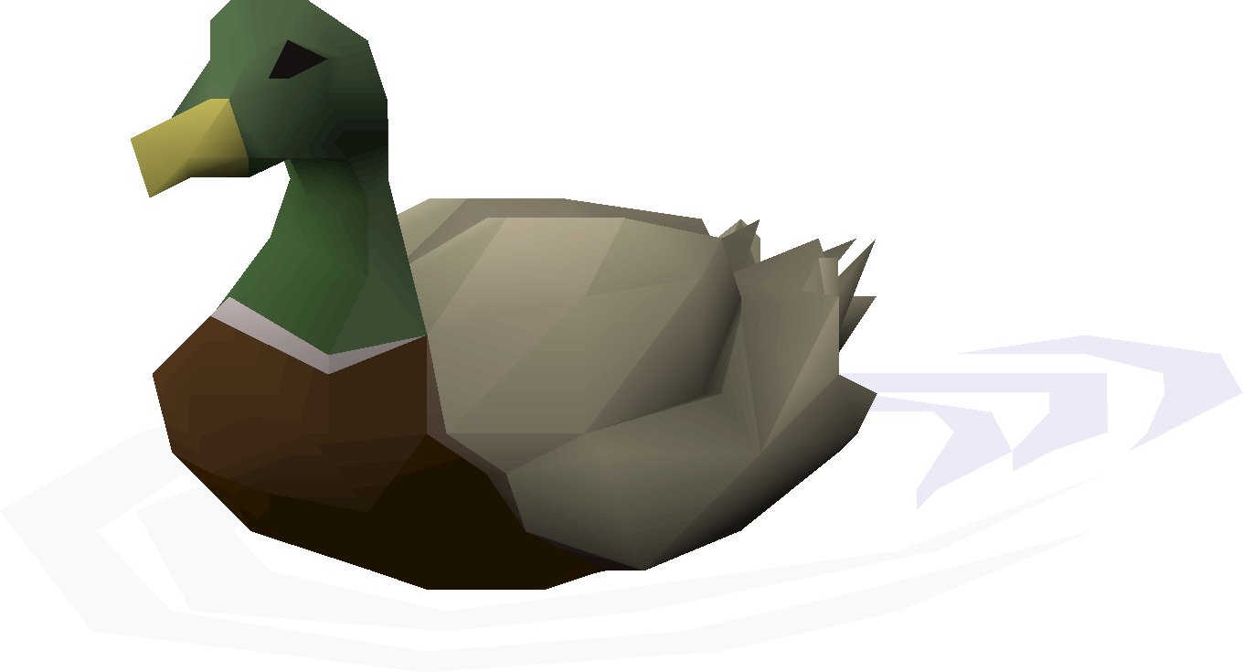 Duck