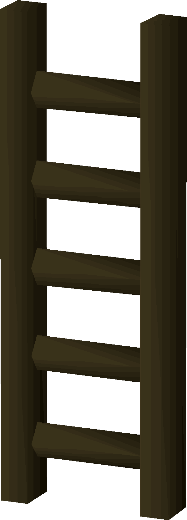 Ladder (Shadows of Custodia)