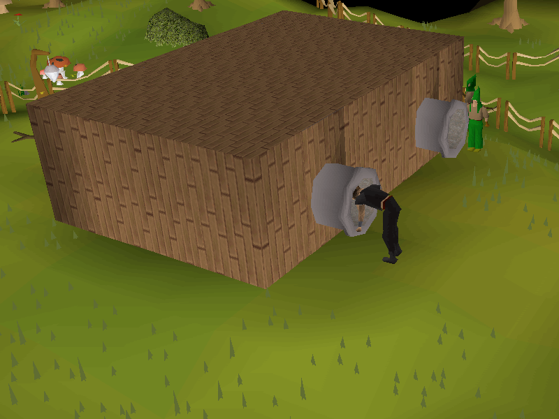 Obstacle pipe (Gnome Stronghold Agility Course)