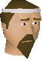 Chathead image of Sir Amik Varze
